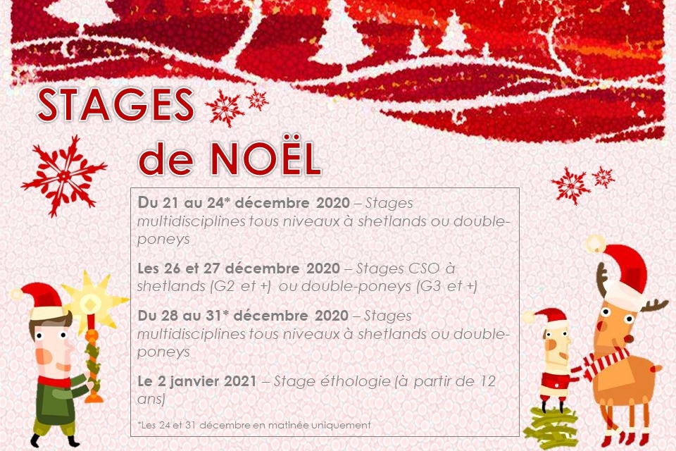 Stages de Noël