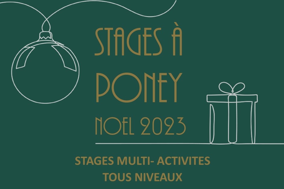 Du poney à Noël !