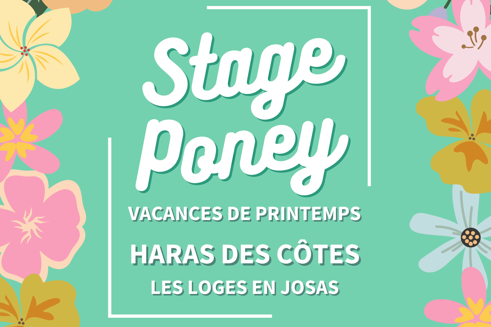 Le PRINTEMPS du PONEY !